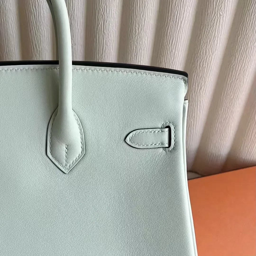 Birkin 25