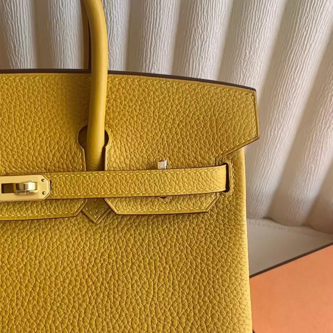 Birkin 25