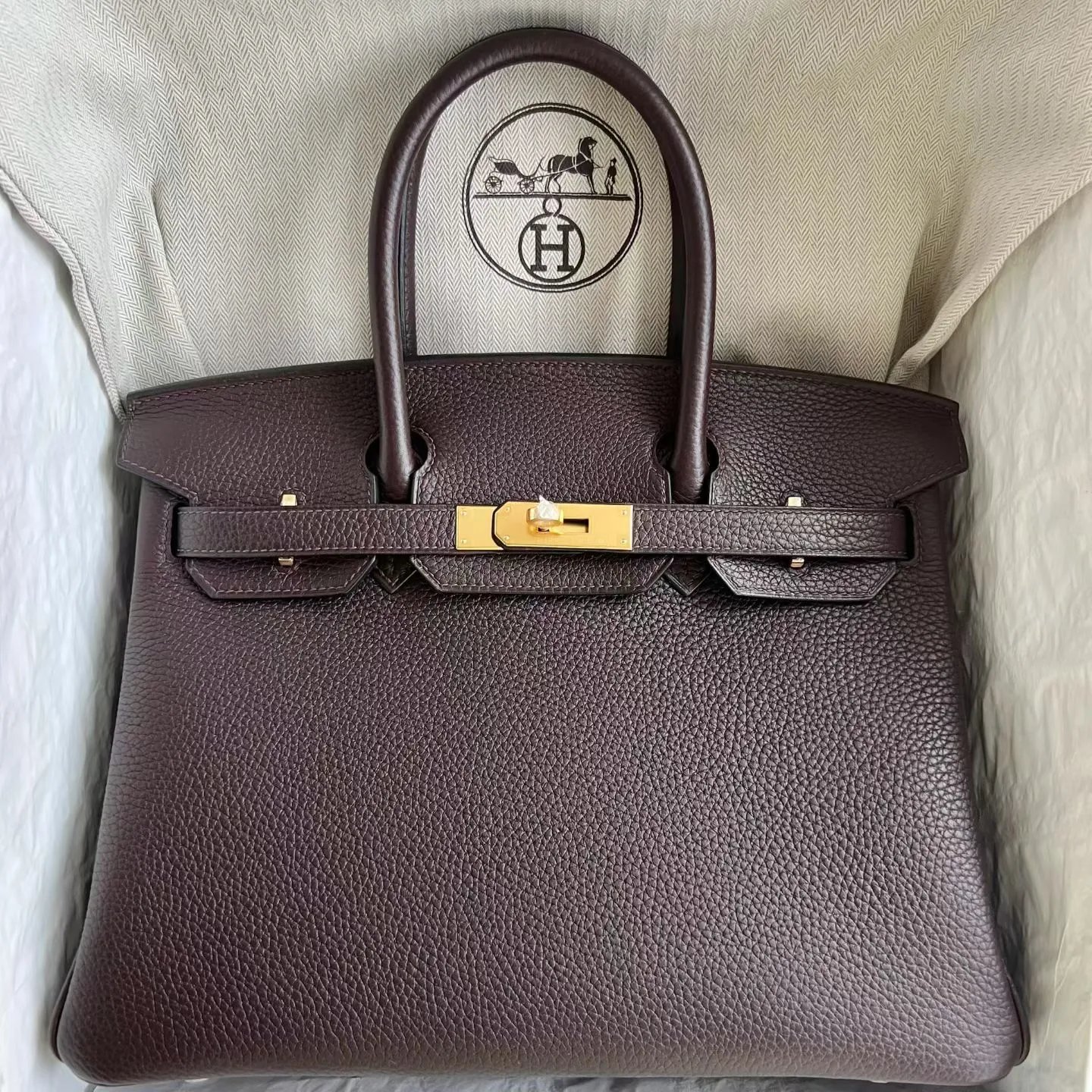 Birkin 30