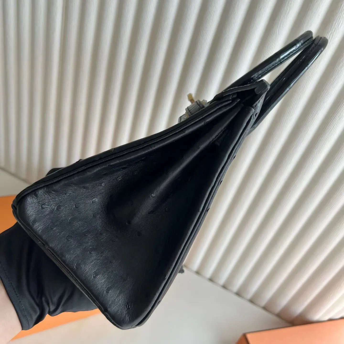 Birkin 25