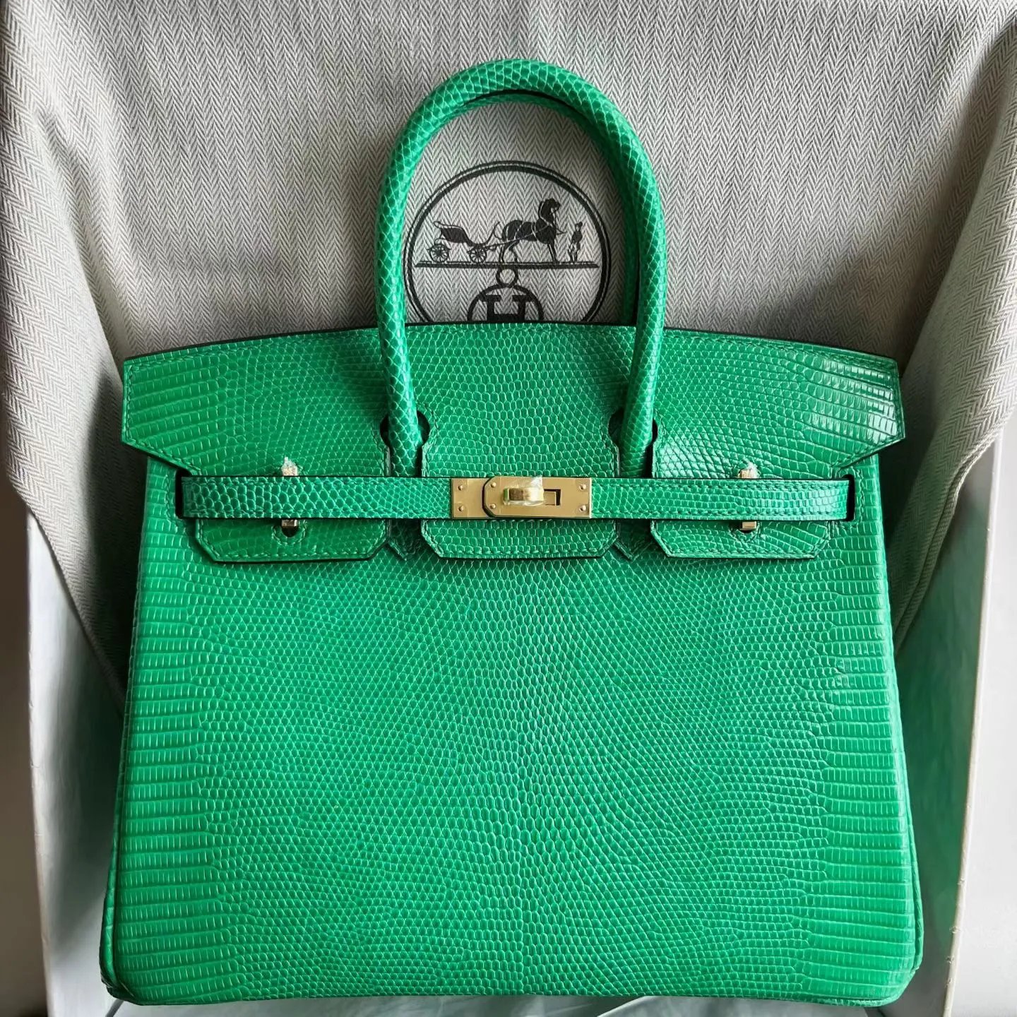 Birkin 25