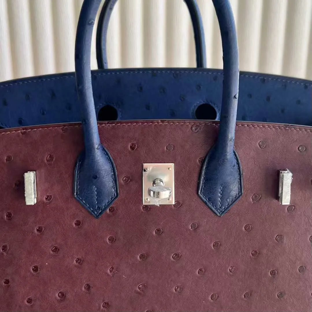 Birkin 25
