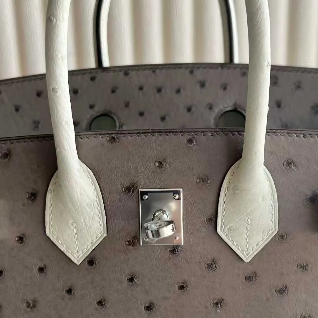 Birkin 25