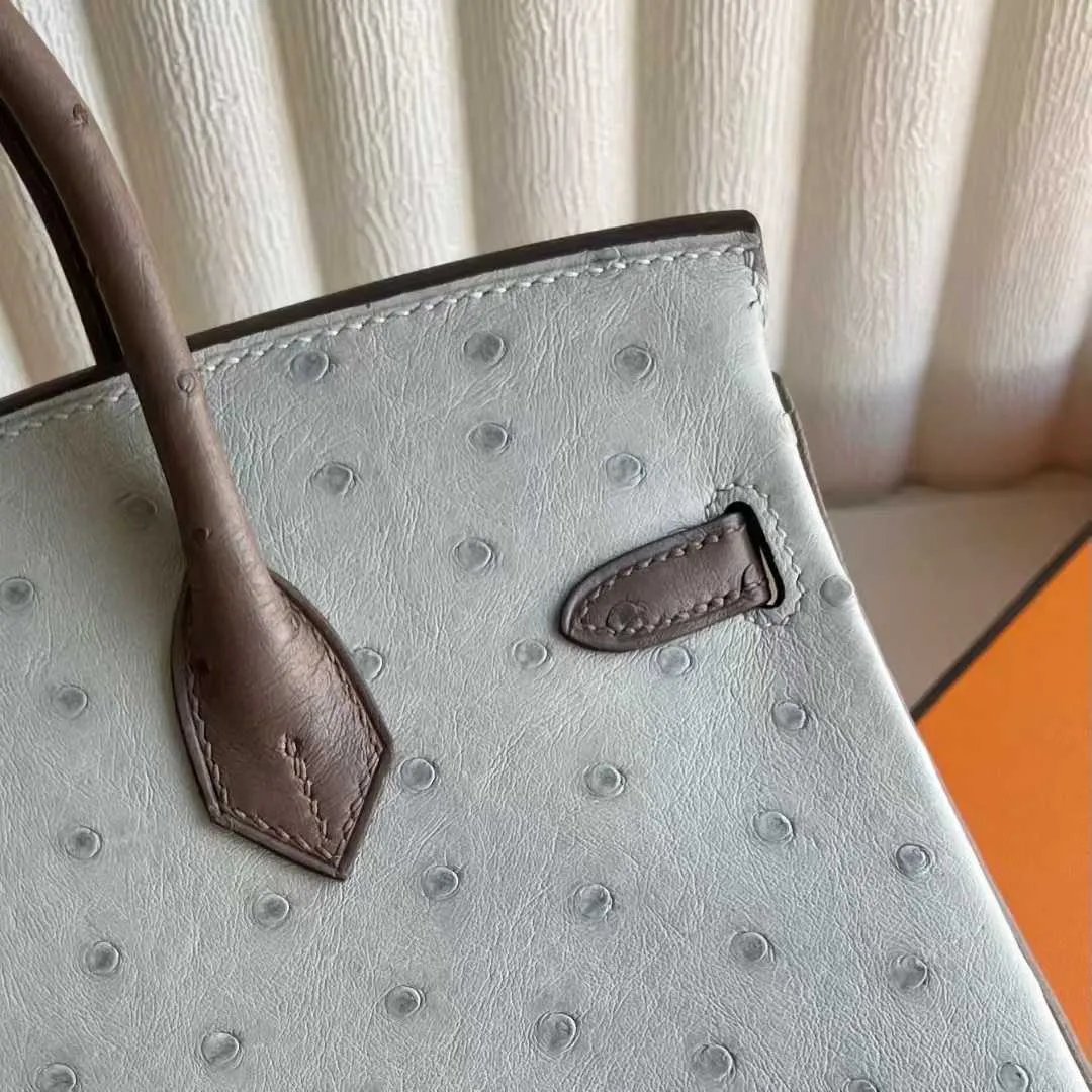 Birkin 25