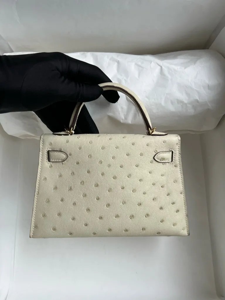 Mini Kelly 19