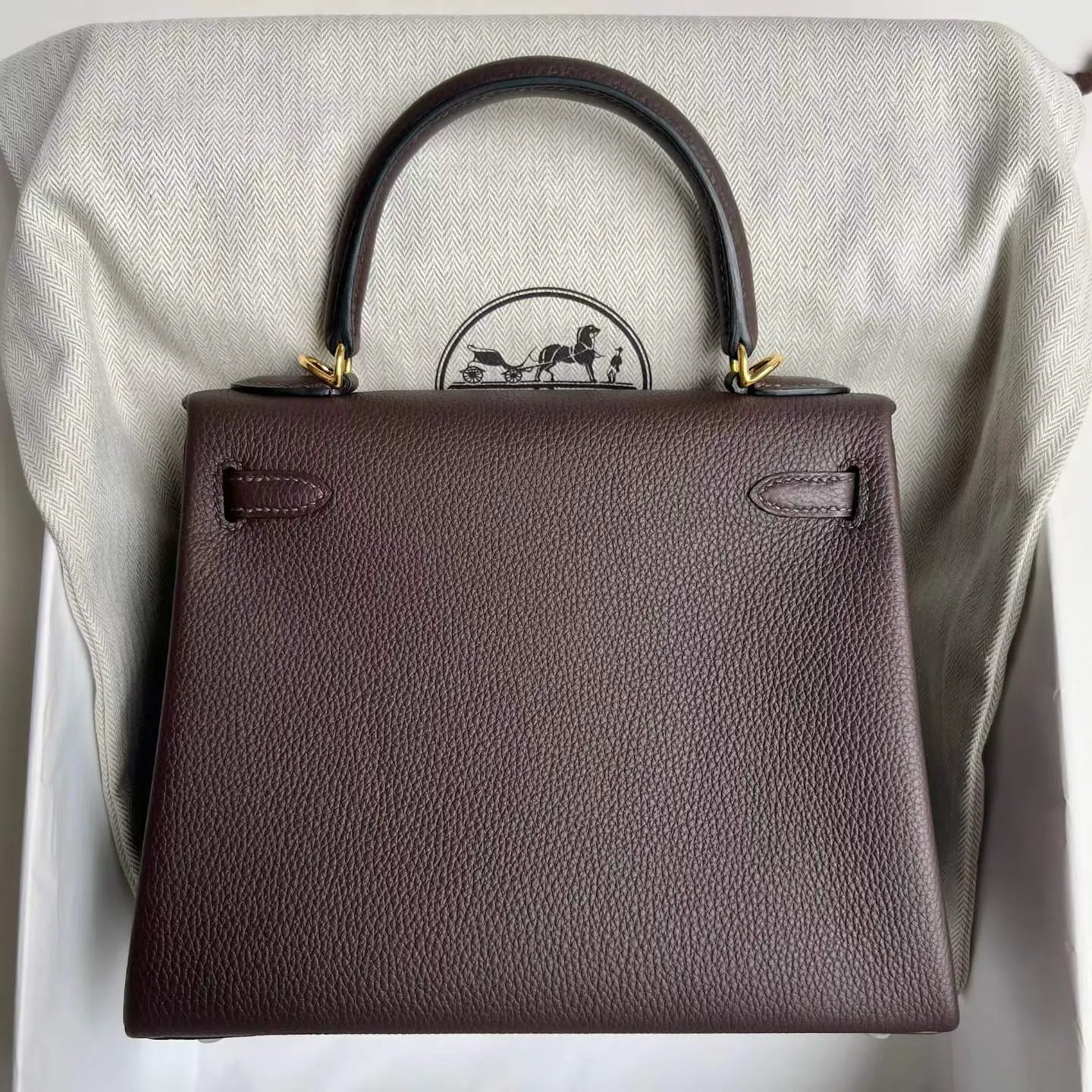 Kelly 25