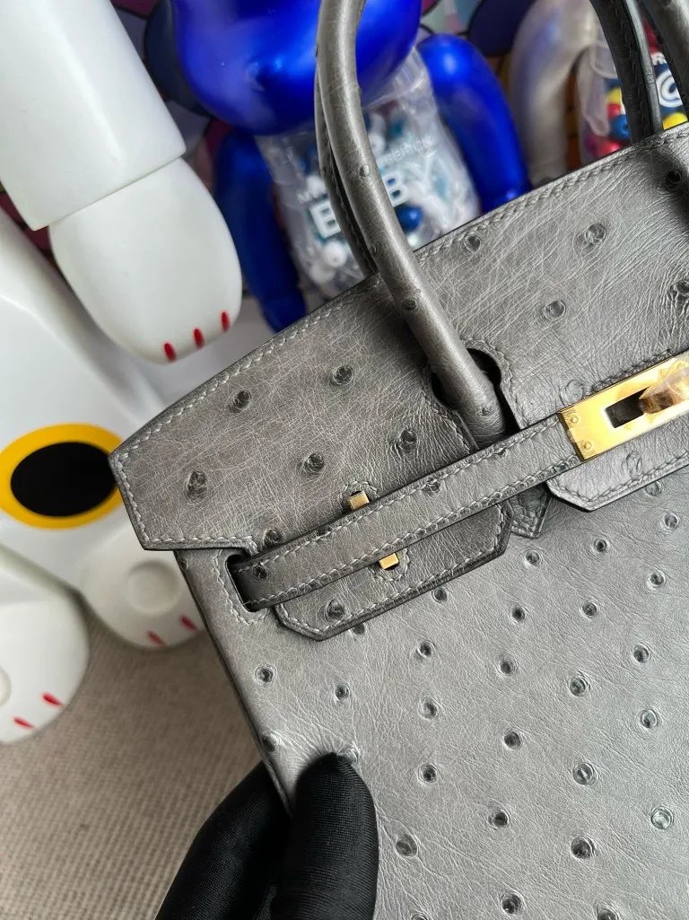 Birkin 25