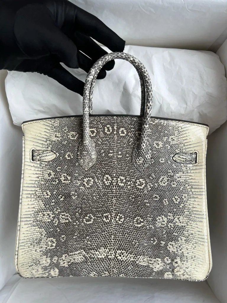 Birkin 25