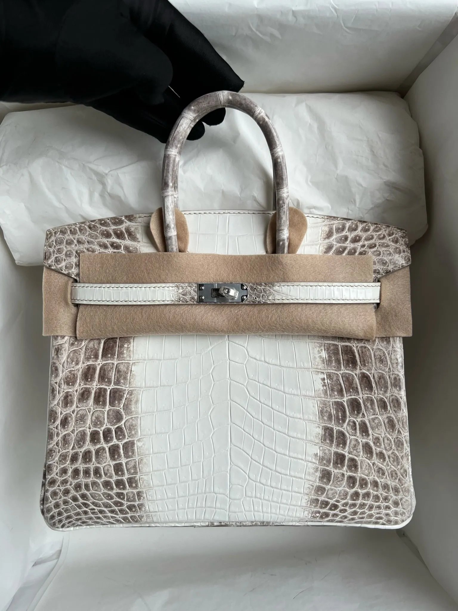 Birkin 25