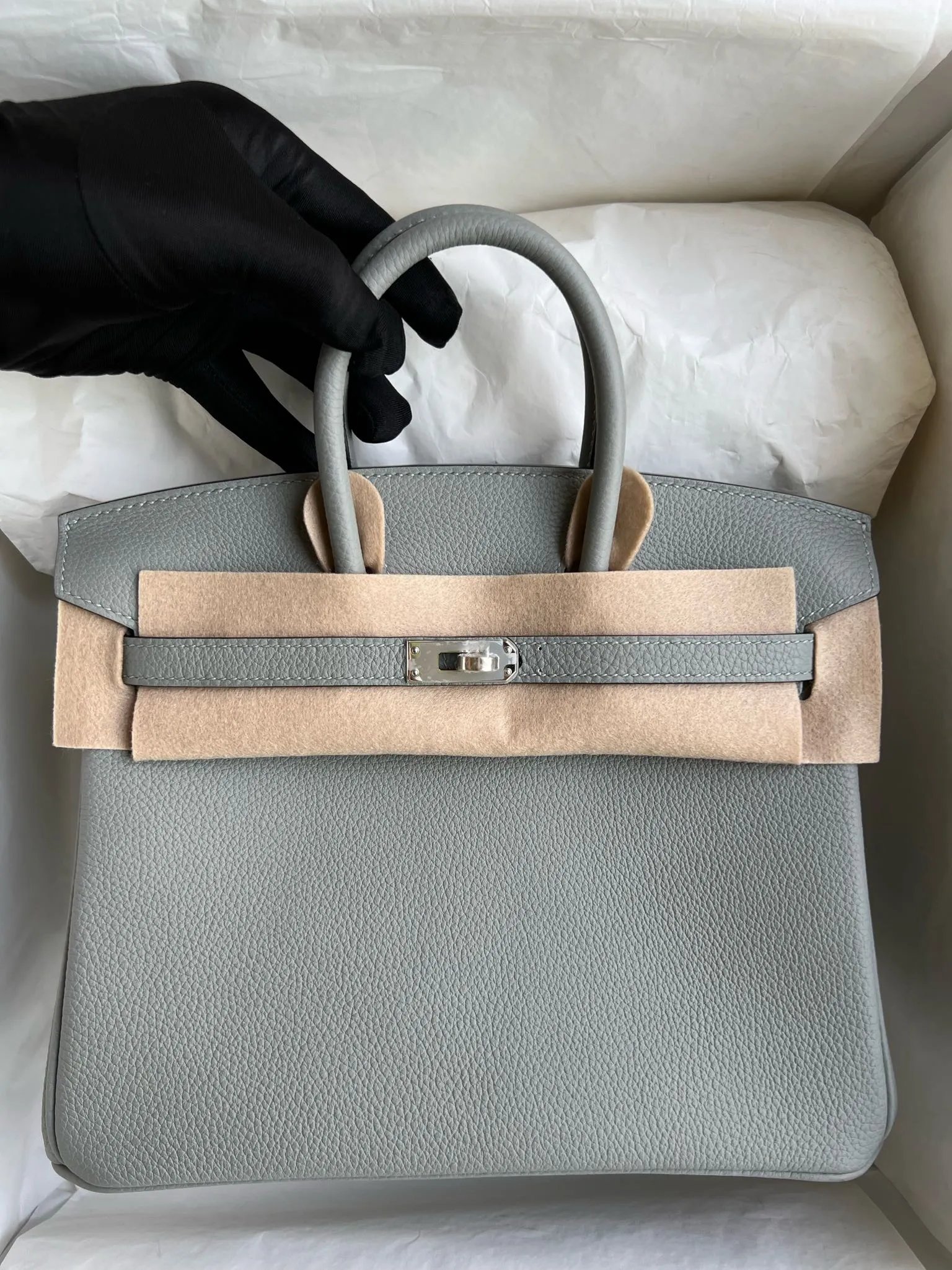 Birkin 25