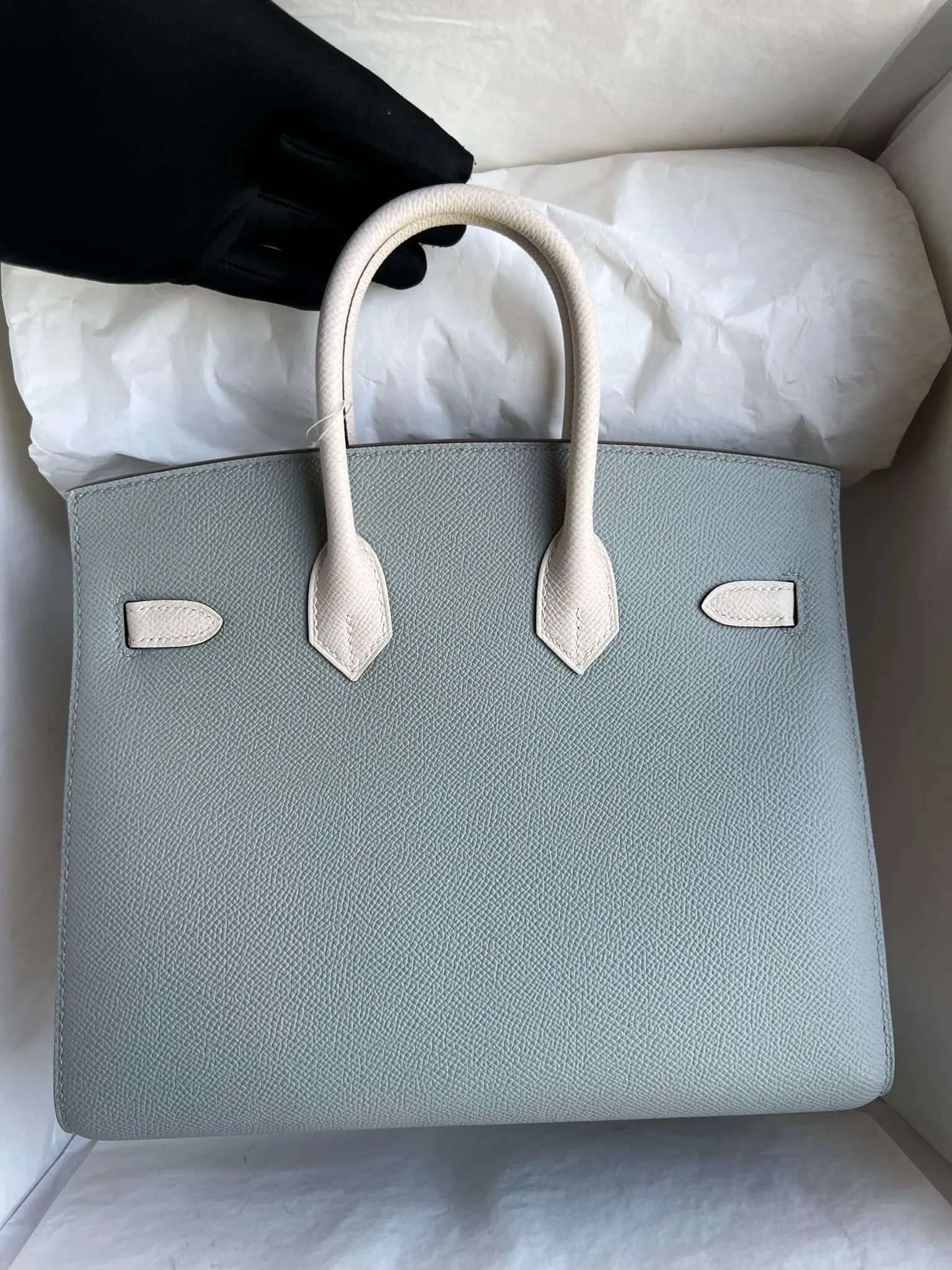 Birkin 25