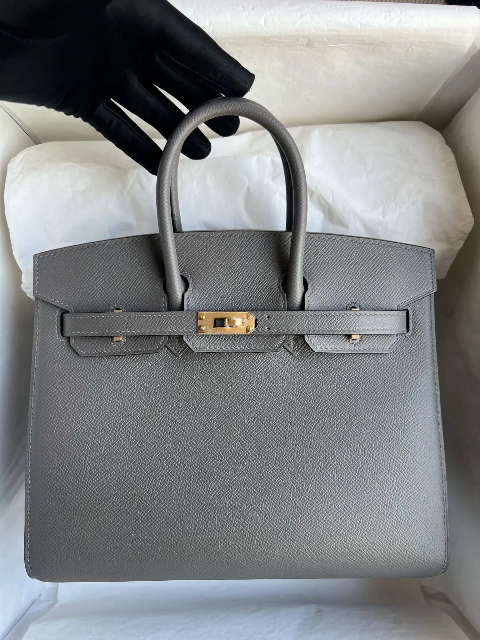 Birkin 25