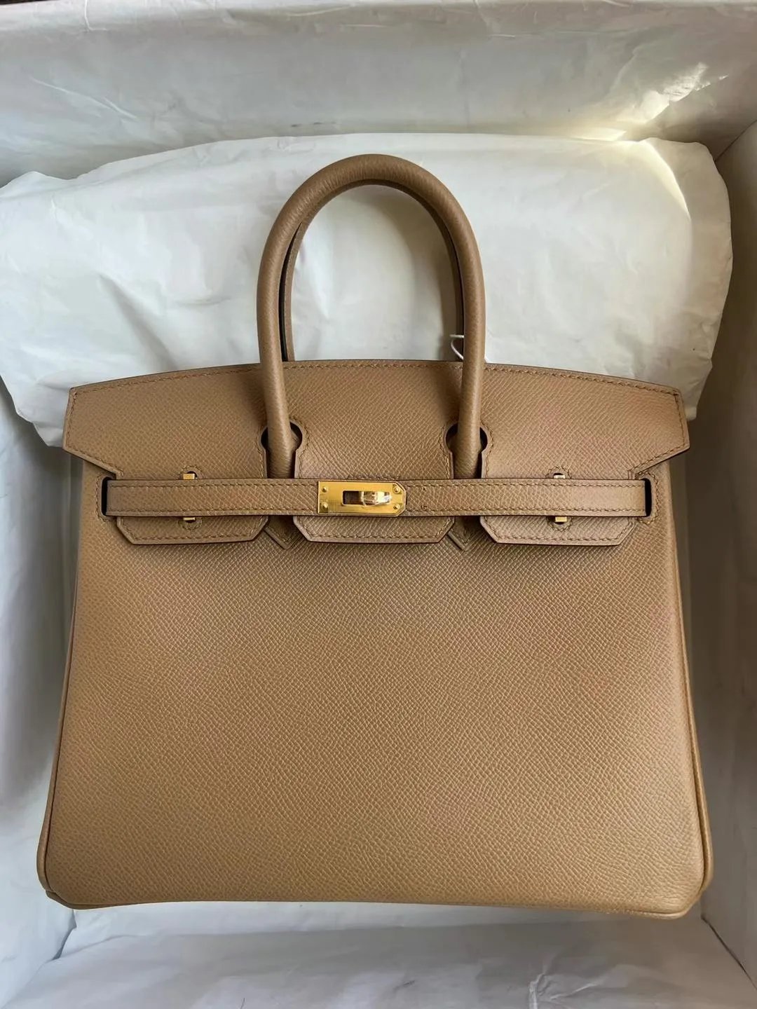 Birkin 25