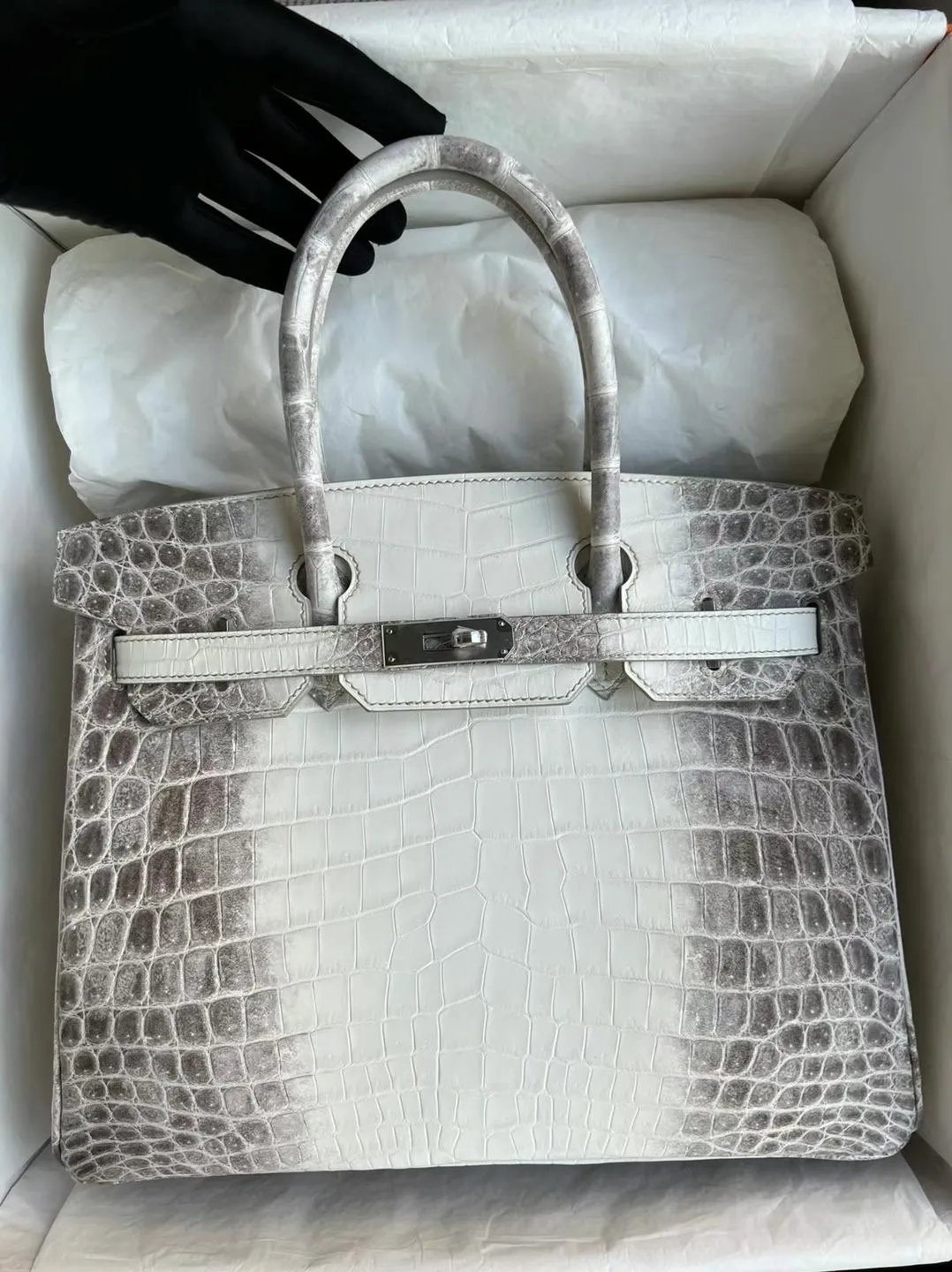 Birkin 30
