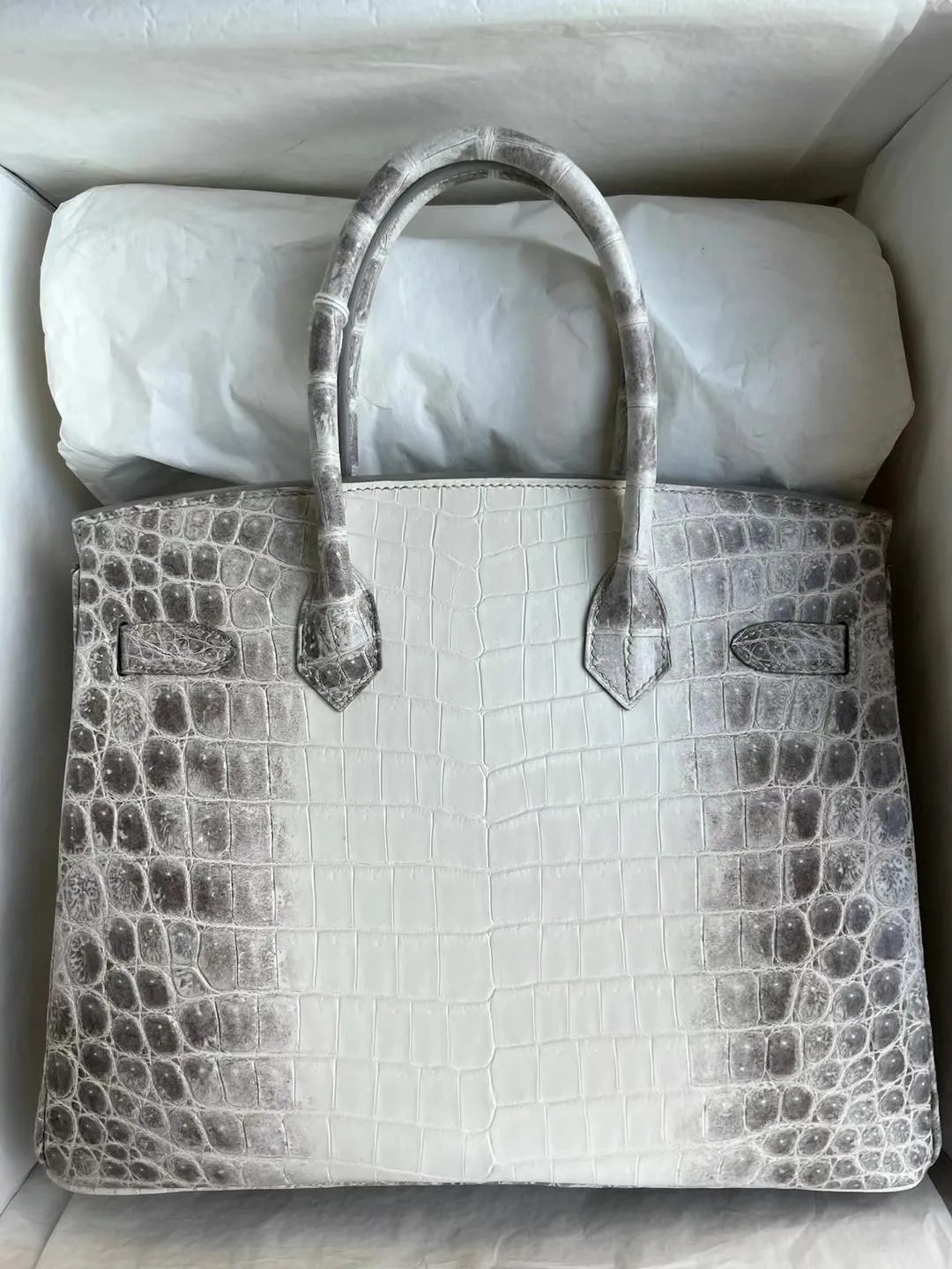 Birkin 30