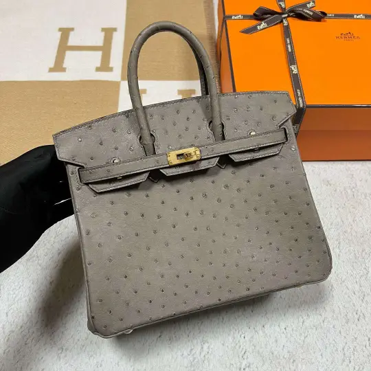 Birkin 25