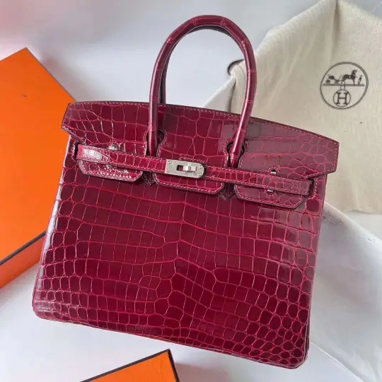 Birkin 25