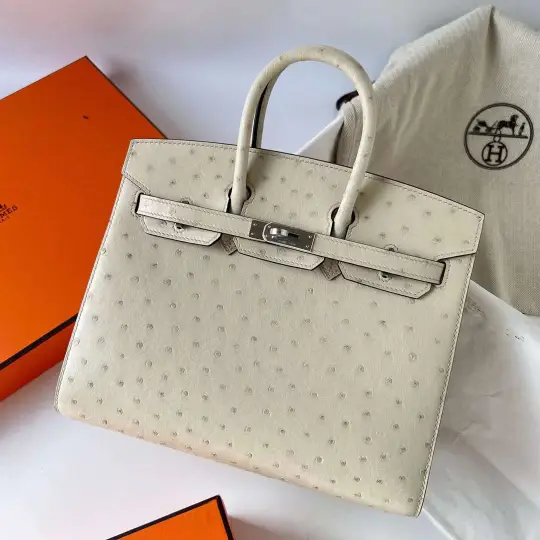 Birkin 25