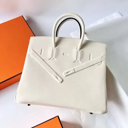 Birkin Shadow 25