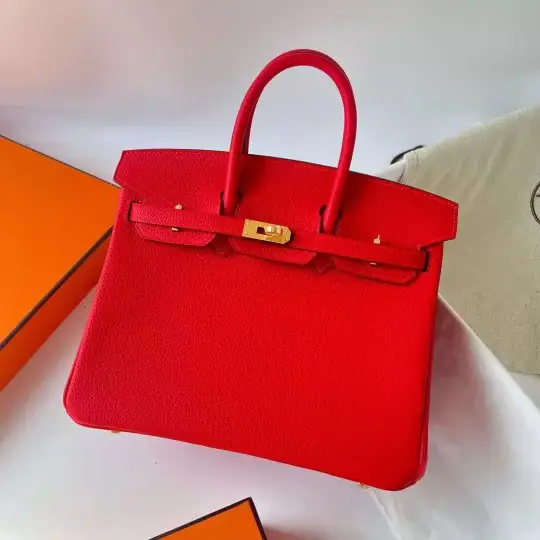 Birkin 25