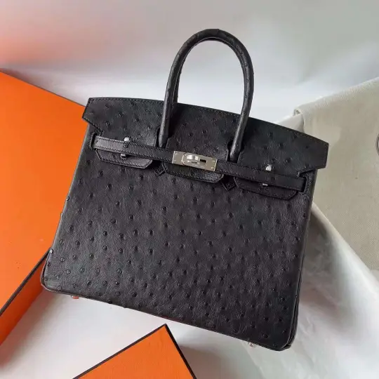 Birkin 25