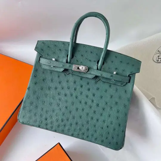 Birkin 25