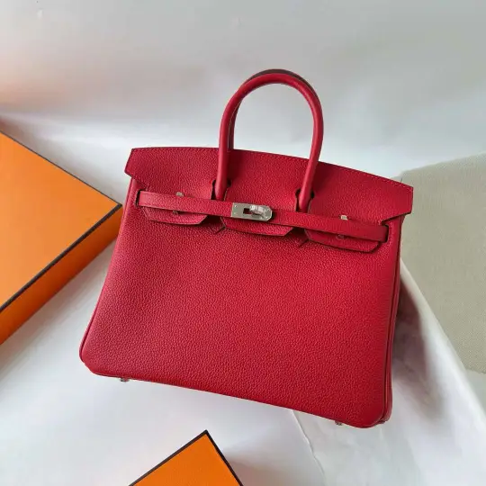 Birkin 25
