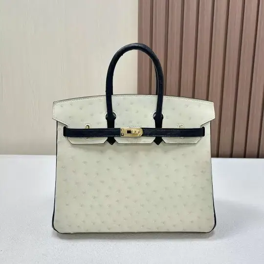 Birkin 25