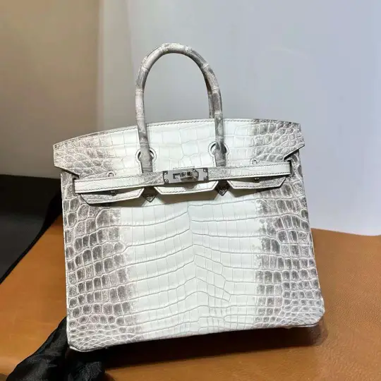 Birkin 25