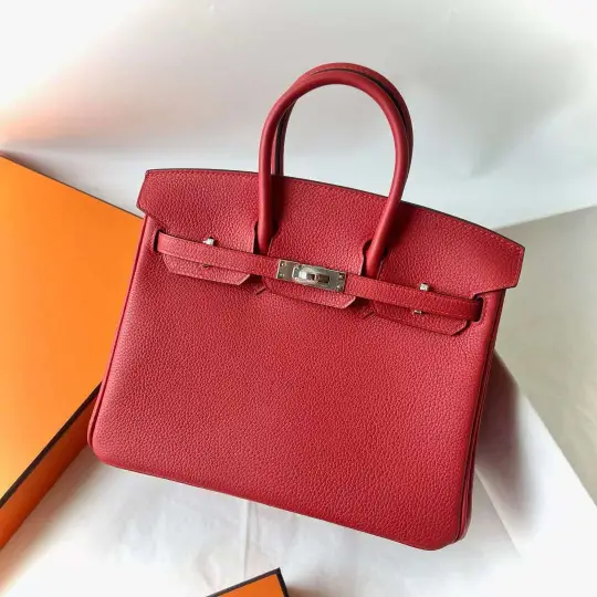 Birkin 25