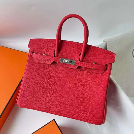 Birkin 25