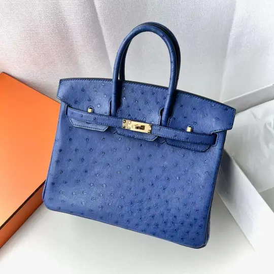 Birkin 25
