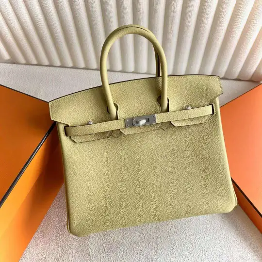 Birkin 25