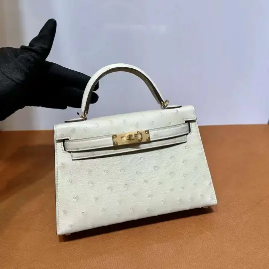 Mini Kelly 19