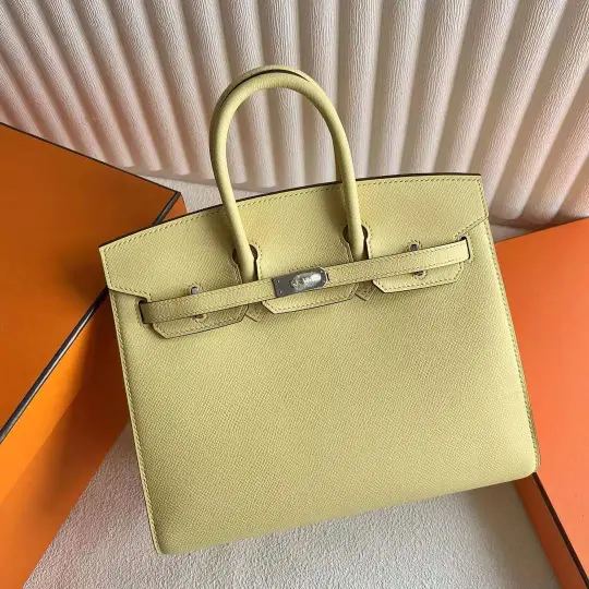 Birkin 25