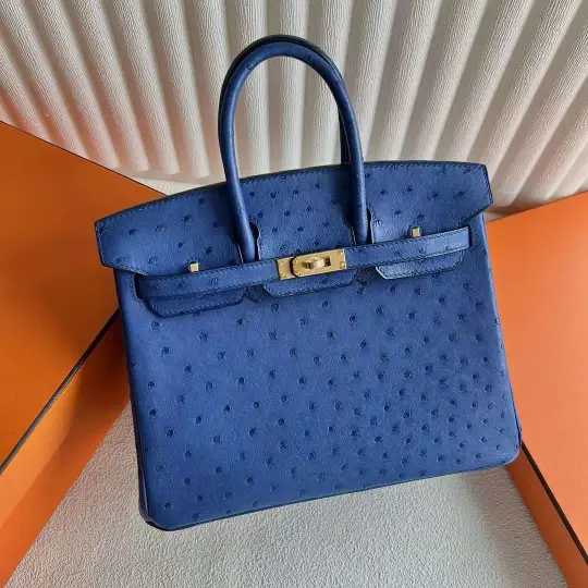 Birkin 25