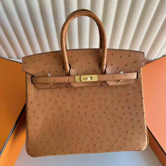 Birkin 25
