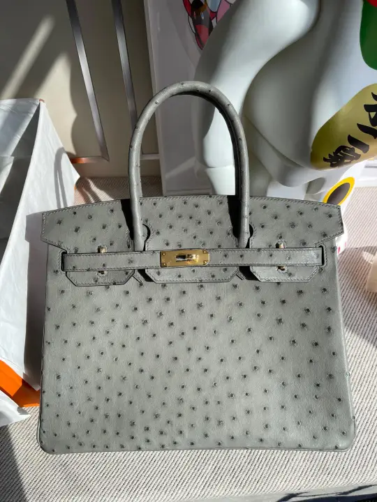 Birkin 30
