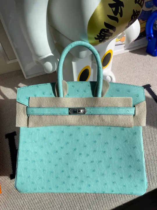 Birkin 25