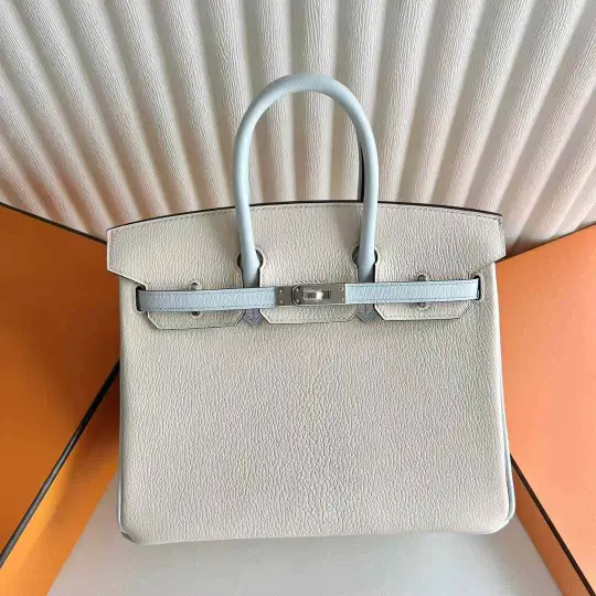 Birkin 25