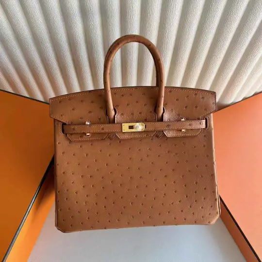 Birkin 25