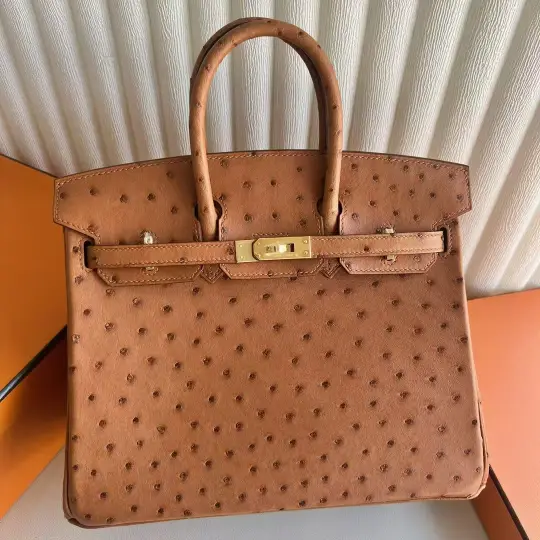 Birkin 25