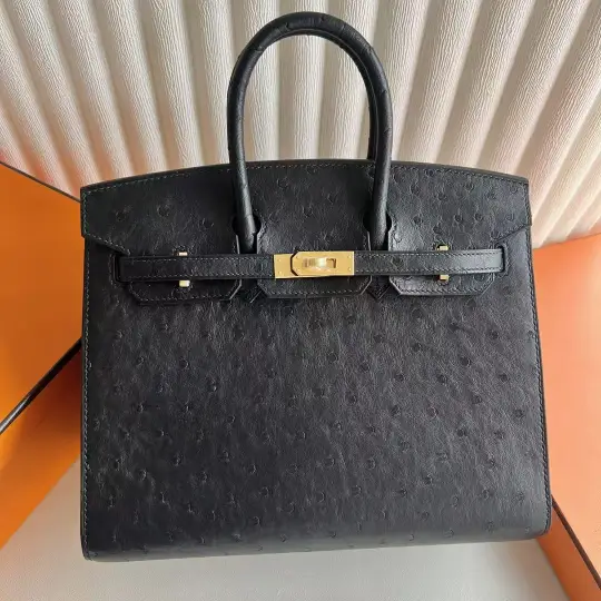 Birkin 25