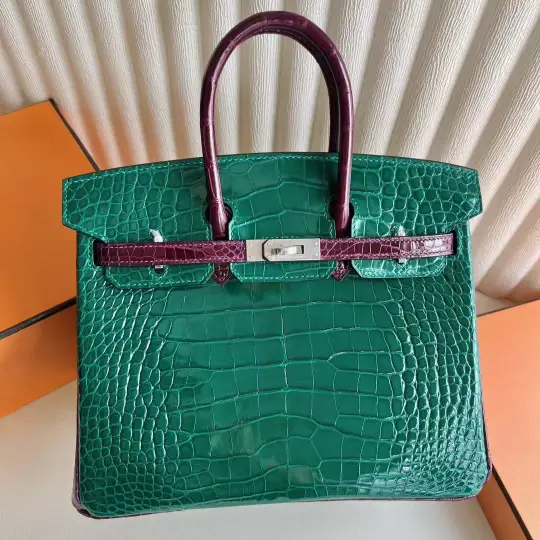 Birkin 25