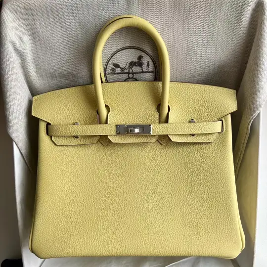 Birkin 25