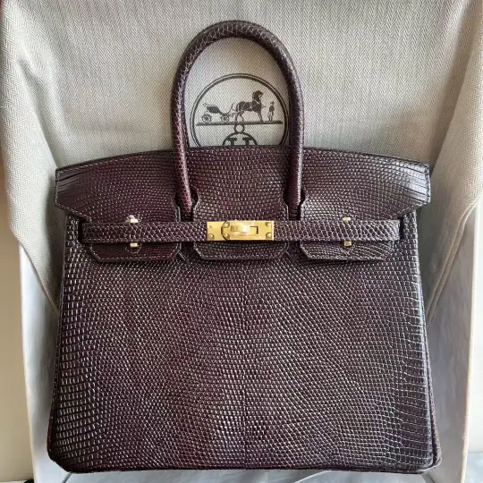 Birkin 25