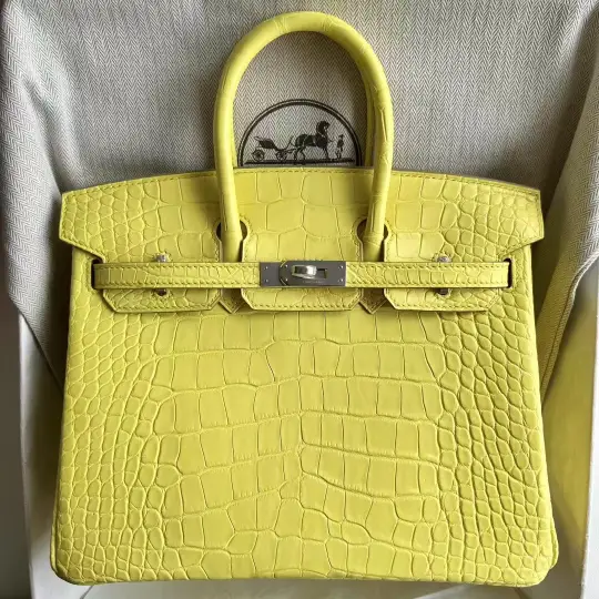 Birkin 25