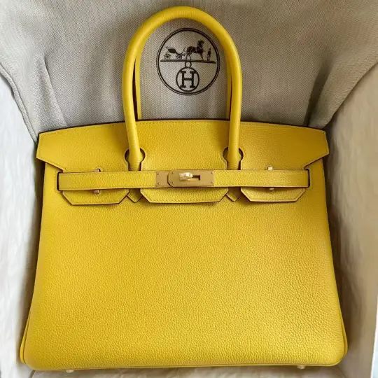 Birkin 30