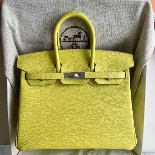 Birkin 25