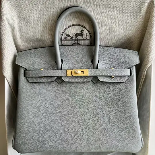 Birkin 25